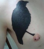 blackwork tattoo big bird on nipple