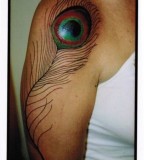 peacock feather tattoo by idexa stern