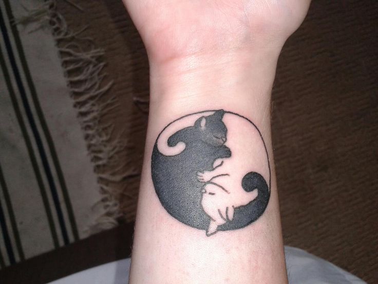 yin yang cats tattoo