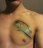 bird tattoo on chest inspired by charley harper