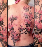 cherry blossoms tattoo by victor j webster