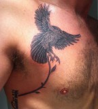 flying bird tattoo on chest