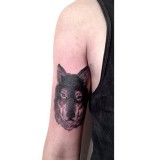 wolf tattoo by victor j webster