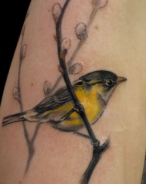 Birds tattoos