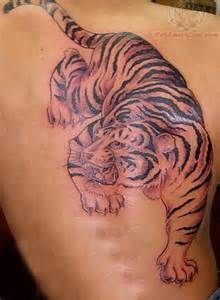 Angry tiger tattoo