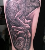 Animal tattoo by Bob Tyrell