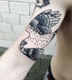Black and white birds tattoo by Philippe Fernandez