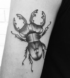 Black and white insect tattoo by Philippe Fernandez