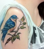 Blue birs tattoo on shoulder