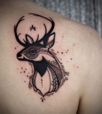 Deer tattoo by David Hale