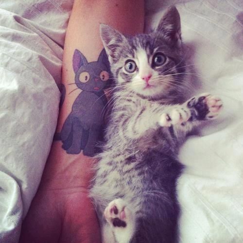 Double cats tattoo