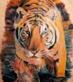 Incredible realistic tiger tattoo