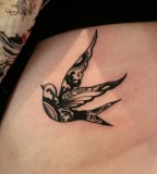 Pretty bird tattoos