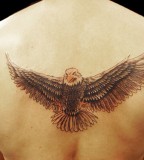 Realisti eagle tattoo