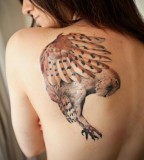 Shoulder owl tattoo