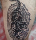 Thai tiger tattoo