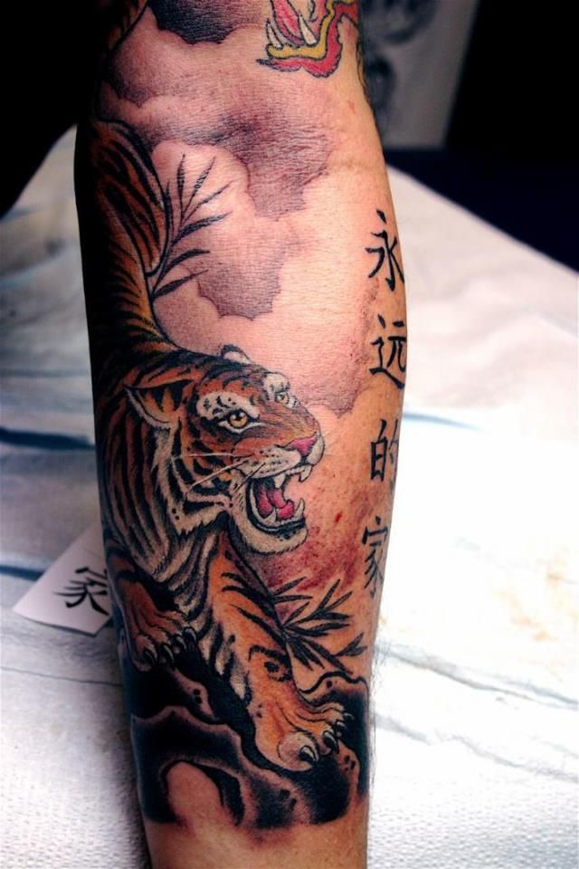 Tiger tatoo on arm - | TattooMagz › Tattoo Designs / Ink Works / Body