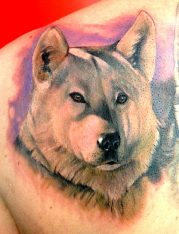 Wolf tattoo by Matteo Pasqualin