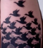 Wonderful fish and birds tattoo