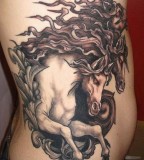 Wonderful horse tattoo