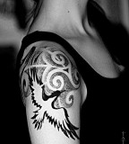 bird tattoo by Dimon Taturin