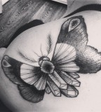 crystal tatoo butterfly blackwork