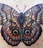 david hale tattoo natural looking butterfly