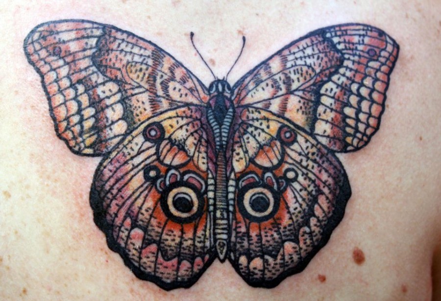 david hale tattoo natural looking butterfly