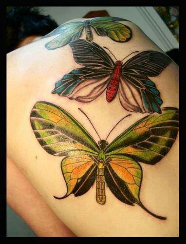 green tatoo three huge butterflies on back