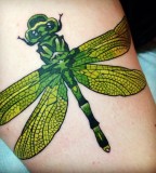 green tattoo realistic dragon-fly