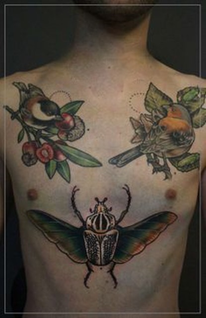 jessica mach tattoo birds on chest and bug on stomach