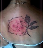 jessica mach tattoo pink rose on back