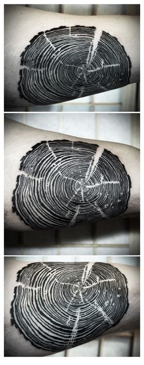 nature tattoo tree growth ring