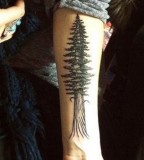 nature tattoo tree on inside arm