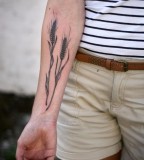 nature tattoo wheat blackwork on arm