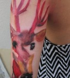 ondrash tattoo watercolor deer on arm