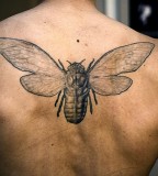tattoos for men hipster bug tattoo on back