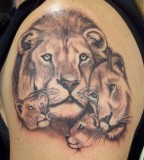tiger family tattoo