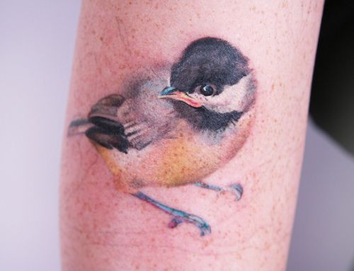 Bird tattoo by Amanda Wachob
