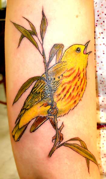 Cute yellow bird tattoo