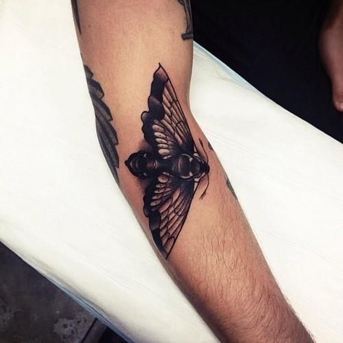 Moth tattoo by Pari Corbitt