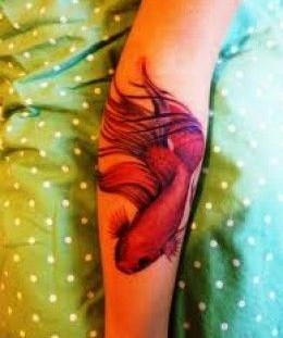 Red fish tattoo