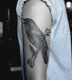 SV.A tattoo bird