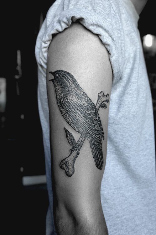 SV.A tattoo bird
