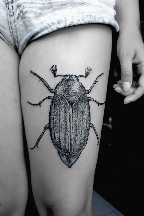 SV.A tattoo bug