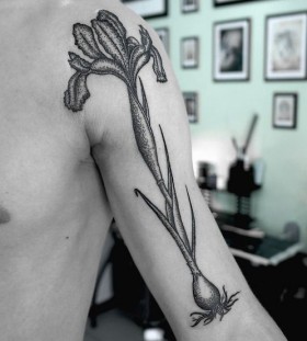 SV.A tattoo flowering bulb