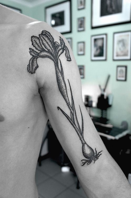 SV.A tattoo flowering bulb
