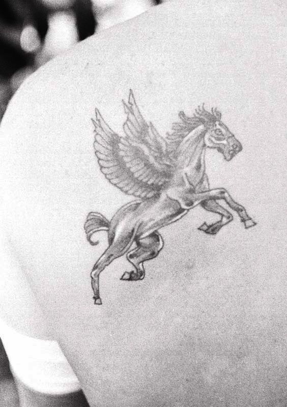 Vintage horse tattoo by Duane