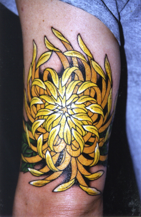 Yellow Chrysanthemum Tattoo On Back Of Arm