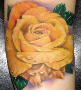 Yellow rose tattoo